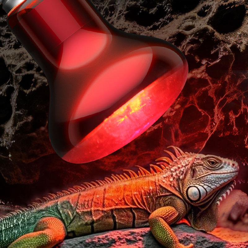 爬虫類用ヒートランプ 100V/220V 赤外線電球 ペット - Gecko Lighting & Decor のレビューと価格