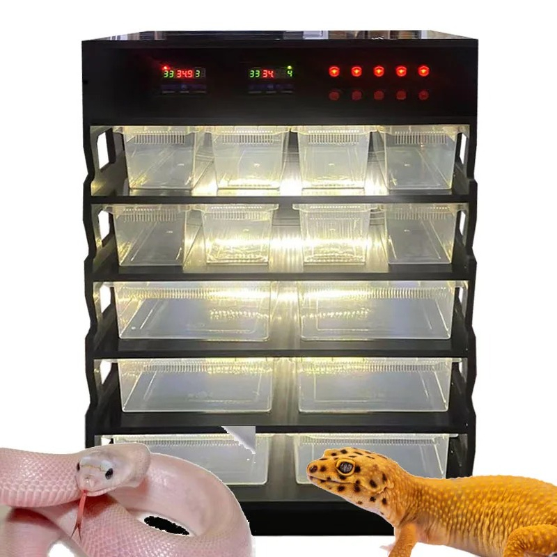 インテリジェントPVC爬虫類家具、爬虫類用品、爬虫類飼育ベー - Gecko Lighting & Decor のレビューと価格