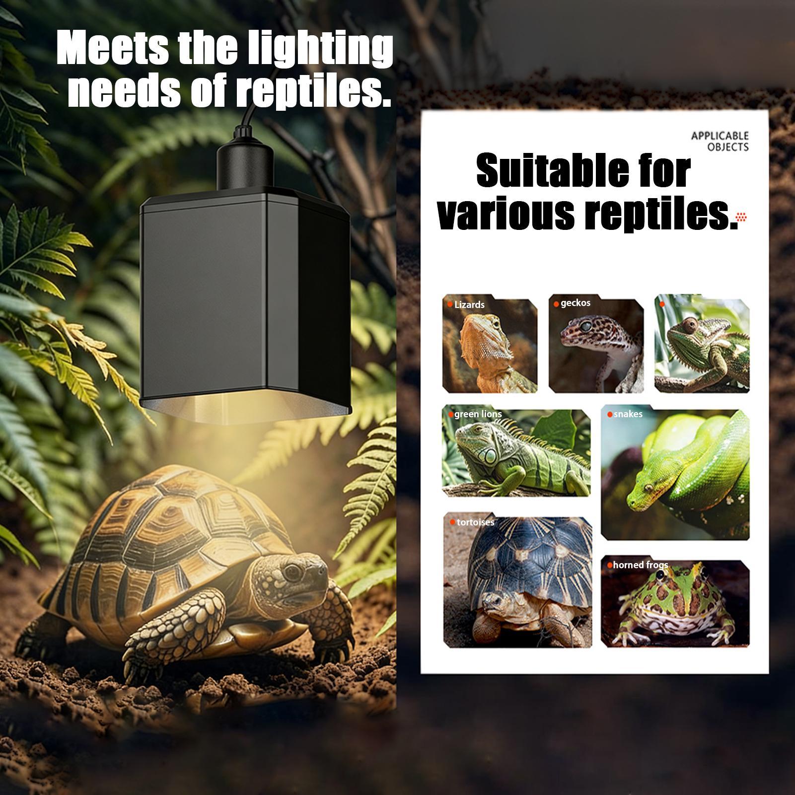 爬虫類用ヒートランプシェード 爬虫類用熱照明カバー カメ用ヒ - Gecko Lighting & Decor のレビューと価格